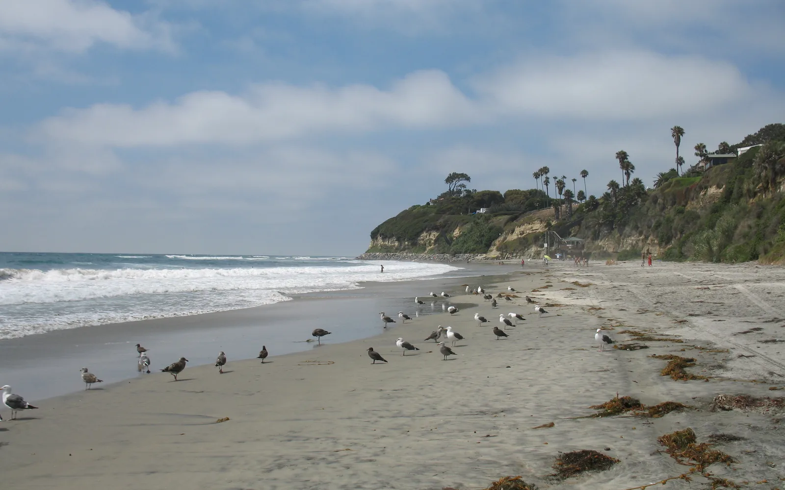 Swami's Beach in Encinitas with waves breaking on the reef point break, a famous Southern California surf spot